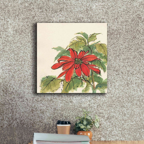Image of 'Poinsettia I' by Chris Paschke, Giclee Canvas Wall Art,18 x 18