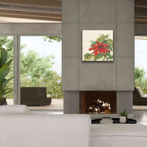 Image of 'Poinsettia I' by Chris Paschke, Giclee Canvas Wall Art,26 x 26