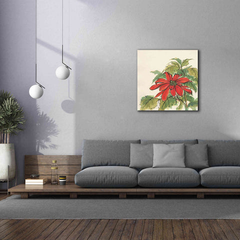 Image of 'Poinsettia I' by Chris Paschke, Giclee Canvas Wall Art,37 x 37