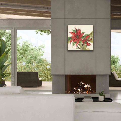 Image of 'Poinsettia II' by Chris Paschke, Giclee Canvas Wall Art,26 x 26