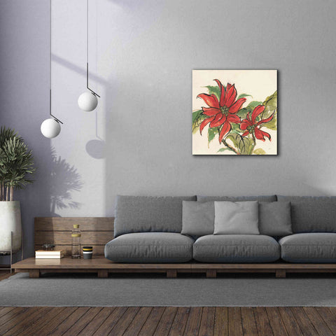 Image of 'Poinsettia II' by Chris Paschke, Giclee Canvas Wall Art,37 x 37