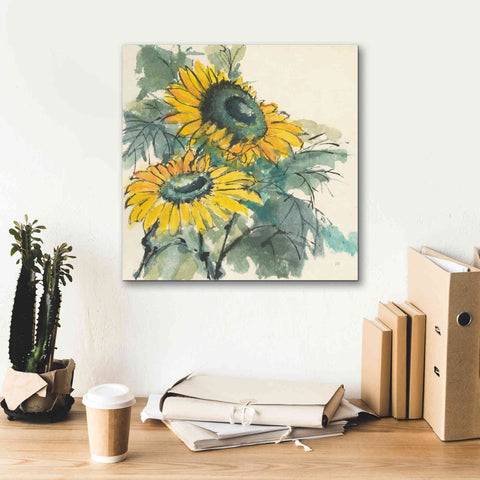 Image of 'Sunflower I' by Chris Paschke, Giclee Canvas Wall Art,18 x 18