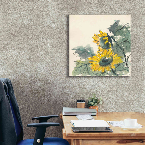 Image of 'Sunflower II' by Chris Paschke, Giclee Canvas Wall Art,26 x 26