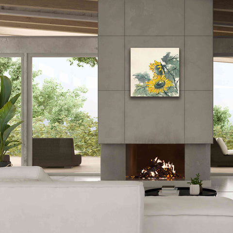 Image of 'Sunflower II' by Chris Paschke, Giclee Canvas Wall Art,26 x 26