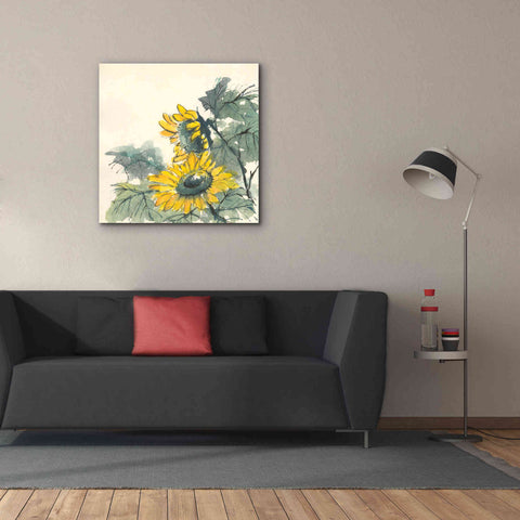 Image of 'Sunflower II' by Chris Paschke, Giclee Canvas Wall Art,37 x 37
