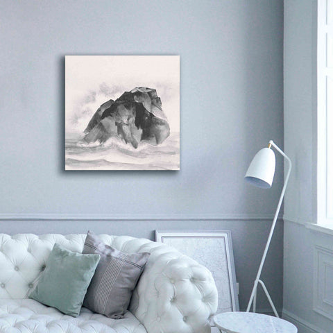 Image of 'Solitary Rock' by Chris Paschke, Giclee Canvas Wall Art,37 x 37