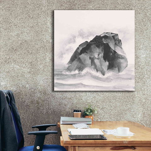 Image of 'Solitary Rock' by Chris Paschke, Giclee Canvas Wall Art,37 x 37