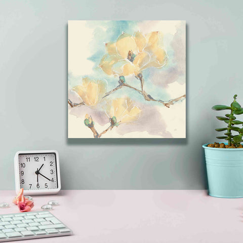 Image of 'Magnolias In White I' by Chris Paschke, Giclee Canvas Wall Art,12 x 12