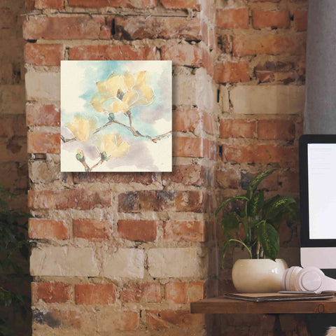 Image of 'Magnolias In White I' by Chris Paschke, Giclee Canvas Wall Art,12 x 12