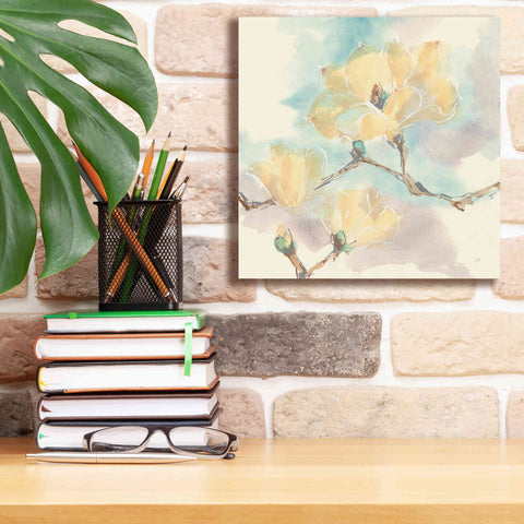 Image of 'Magnolias In White I' by Chris Paschke, Giclee Canvas Wall Art,12 x 12