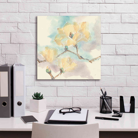 Image of 'Magnolias In White I' by Chris Paschke, Giclee Canvas Wall Art,18 x 18