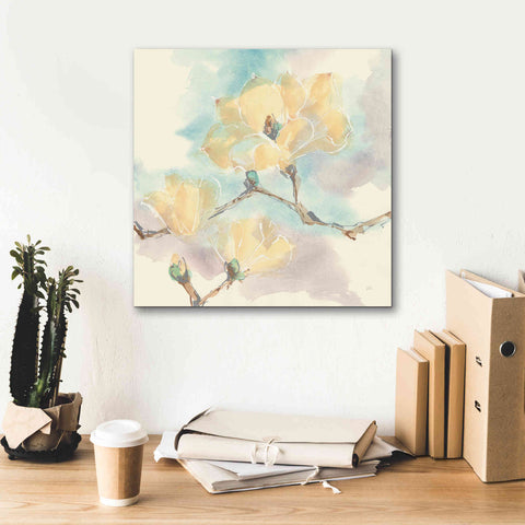 Image of 'Magnolias In White I' by Chris Paschke, Giclee Canvas Wall Art,18 x 18