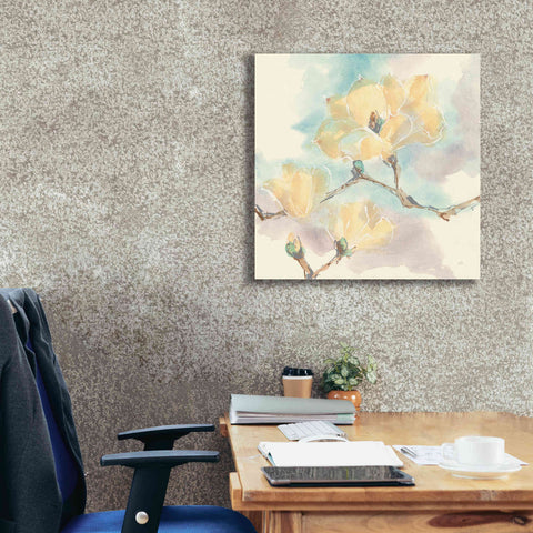 Image of 'Magnolias In White I' by Chris Paschke, Giclee Canvas Wall Art,26 x 26