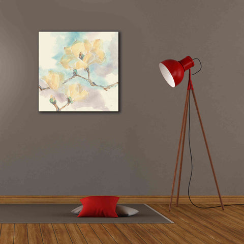 Image of 'Magnolias In White I' by Chris Paschke, Giclee Canvas Wall Art,26 x 26