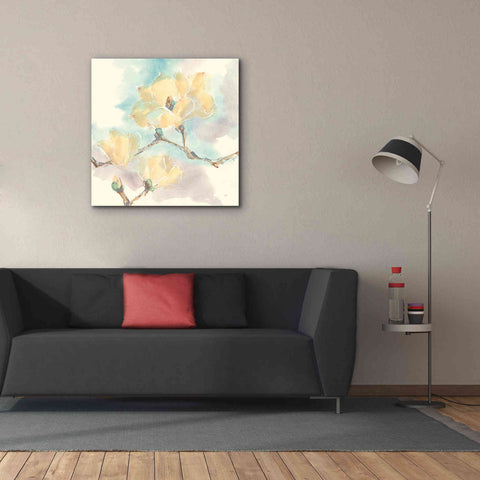 Image of 'Magnolias In White I' by Chris Paschke, Giclee Canvas Wall Art,37 x 37