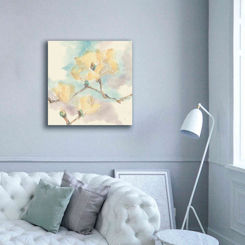 Image of 'Magnolias In White I' by Chris Paschke, Giclee Canvas Wall Art,37 x 37