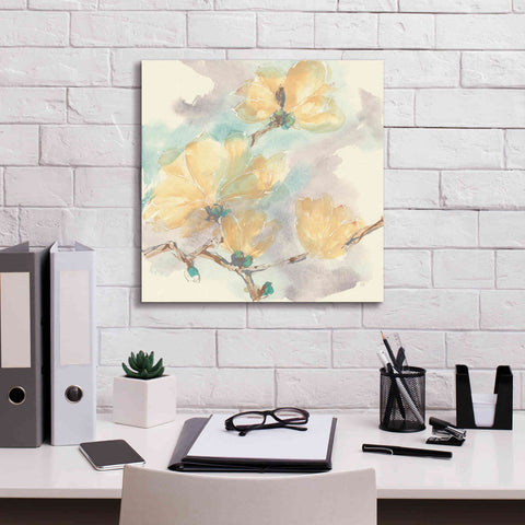 Image of 'Magnolias In White II' by Chris Paschke, Giclee Canvas Wall Art,18 x 18