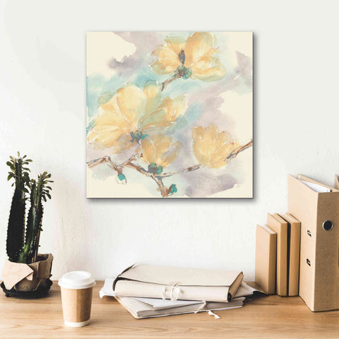 Image of 'Magnolias In White II' by Chris Paschke, Giclee Canvas Wall Art,18 x 18