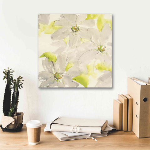 Image of 'Dancing Clematis I' by Chris Paschke, Giclee Canvas Wall Art,18 x 18