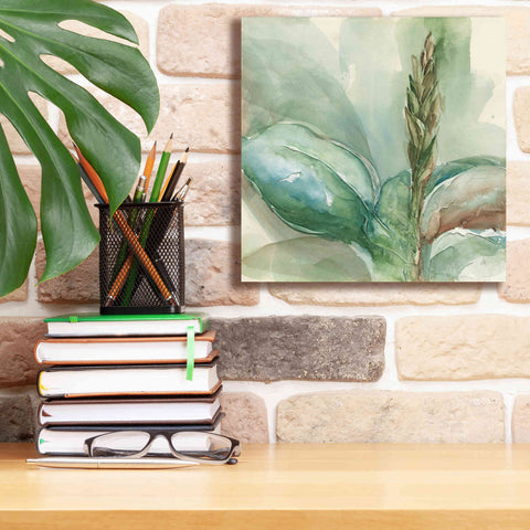 Image of 'Exotic Flower I' by Chris Paschke, Giclee Canvas Wall Art,12 x 12