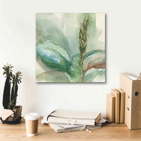 Image of 'Exotic Flower I' by Chris Paschke, Giclee Canvas Wall Art,18 x 18