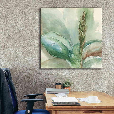 Image of 'Exotic Flower I' by Chris Paschke, Giclee Canvas Wall Art,37 x 37