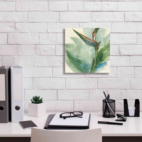 Image of 'Exotic Flower III' by Chris Paschke, Giclee Canvas Wall Art,12 x 12