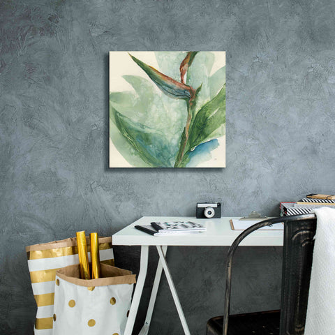 Image of 'Exotic Flower III' by Chris Paschke, Giclee Canvas Wall Art,18 x 18