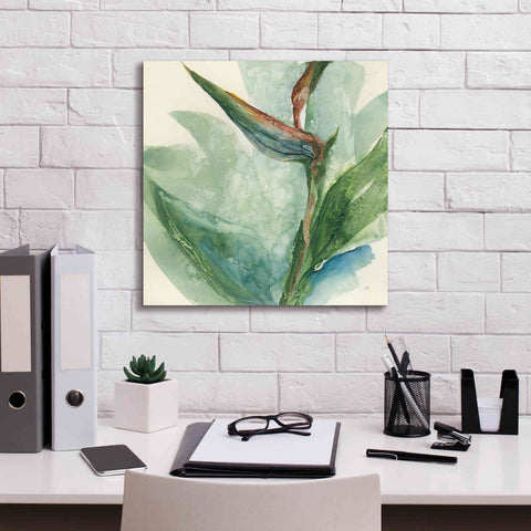 Image of 'Exotic Flower III' by Chris Paschke, Giclee Canvas Wall Art,18 x 18