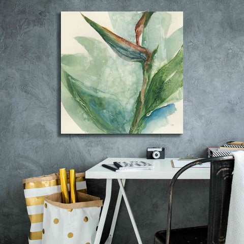 Image of 'Exotic Flower III' by Chris Paschke, Giclee Canvas Wall Art,26 x 26