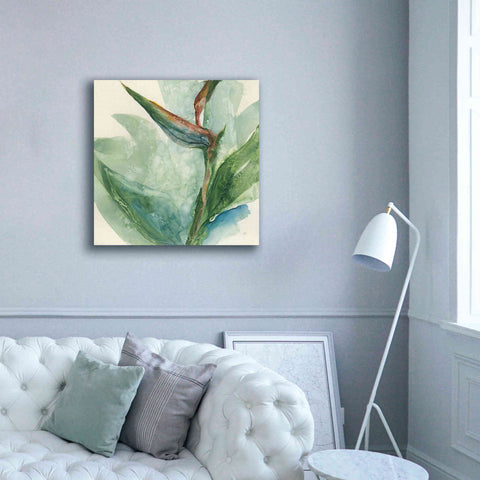 Image of 'Exotic Flower III' by Chris Paschke, Giclee Canvas Wall Art,37 x 37