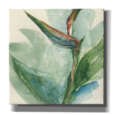 Image of 'Exotic Flower III' by Chris Paschke, Giclee Canvas Wall Art