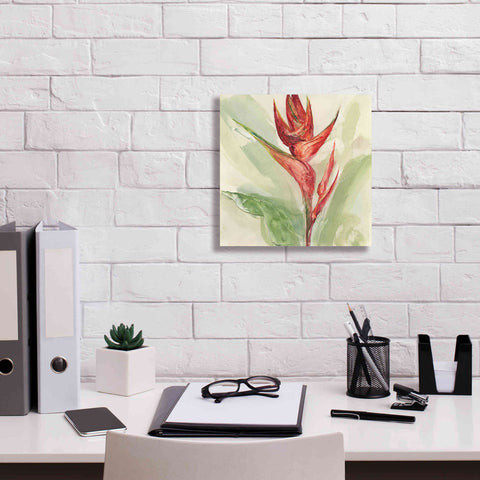 Image of 'Exotic Flower IV' by Chris Paschke, Giclee Canvas Wall Art,12 x 12