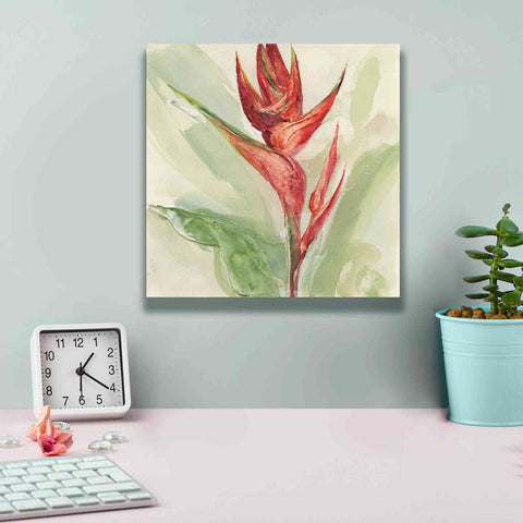 Image of 'Exotic Flower IV' by Chris Paschke, Giclee Canvas Wall Art,12 x 12