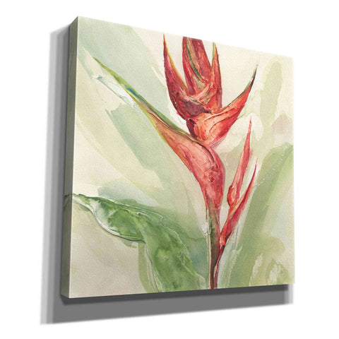 Image of 'Exotic Flower IV' by Chris Paschke, Giclee Canvas Wall Art