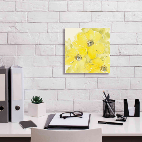 Image of 'Sunshine Cosmos I' by Chris Paschke, Giclee Canvas Wall Art,12 x 12