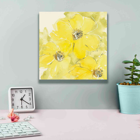 Image of 'Sunshine Cosmos I' by Chris Paschke, Giclee Canvas Wall Art,12 x 12