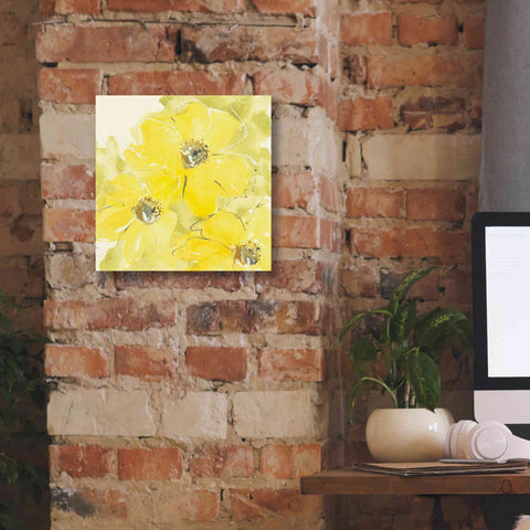 Image of 'Sunshine Cosmos I' by Chris Paschke, Giclee Canvas Wall Art,12 x 12