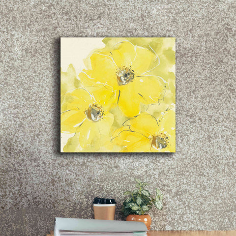 Image of 'Sunshine Cosmos I' by Chris Paschke, Giclee Canvas Wall Art,18 x 18