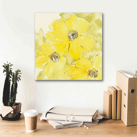 Image of 'Sunshine Cosmos I' by Chris Paschke, Giclee Canvas Wall Art,18 x 18