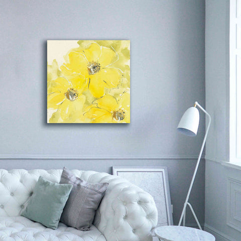 Image of 'Sunshine Cosmos I' by Chris Paschke, Giclee Canvas Wall Art,37 x 37