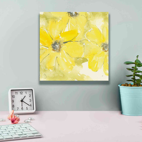 Image of 'Sunshine Cosmos II' by Chris Paschke, Giclee Canvas Wall Art,12 x 12