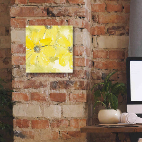 Image of 'Sunshine Cosmos II' by Chris Paschke, Giclee Canvas Wall Art,12 x 12