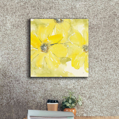 Image of 'Sunshine Cosmos II' by Chris Paschke, Giclee Canvas Wall Art,18 x 18