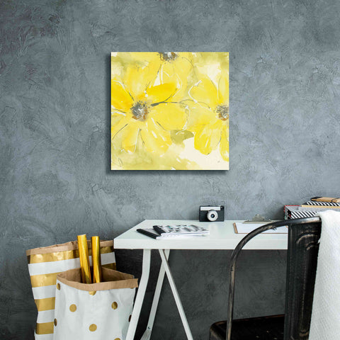 Image of 'Sunshine Cosmos II' by Chris Paschke, Giclee Canvas Wall Art,18 x 18