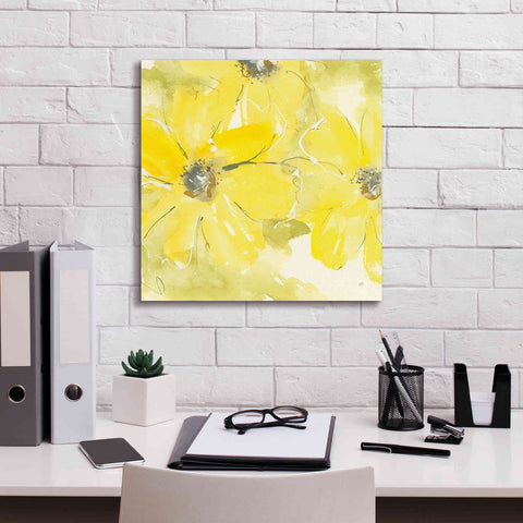 Image of 'Sunshine Cosmos II' by Chris Paschke, Giclee Canvas Wall Art,18 x 18