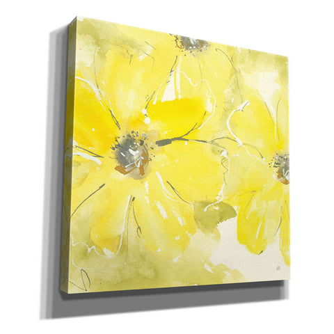 Image of 'Sunshine Cosmos II' by Chris Paschke, Giclee Canvas Wall Art