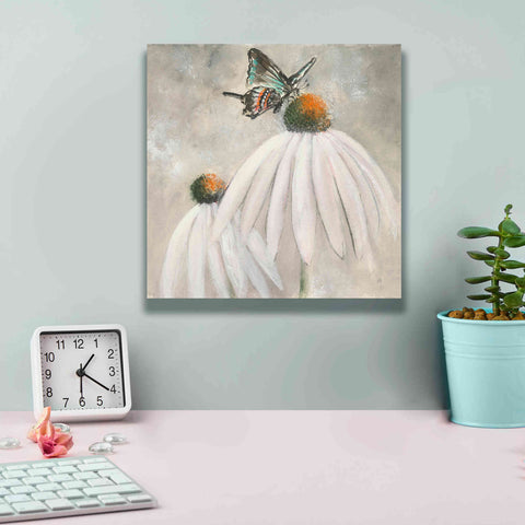 Image of 'Butterflies Are Free I' by Chris Paschke, Giclee Canvas Wall Art,12 x 12