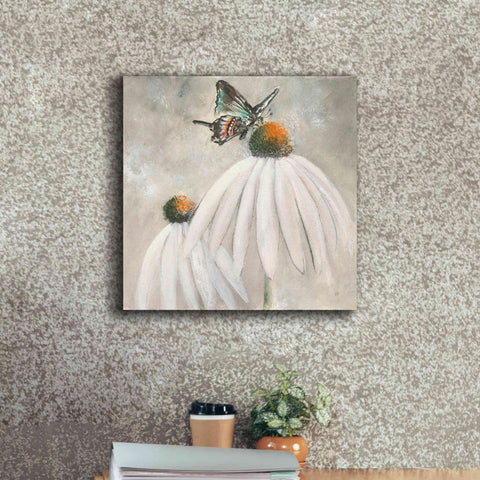 Image of 'Butterflies Are Free I' by Chris Paschke, Giclee Canvas Wall Art,18 x 18