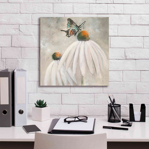 Image of 'Butterflies Are Free I' by Chris Paschke, Giclee Canvas Wall Art,18 x 18